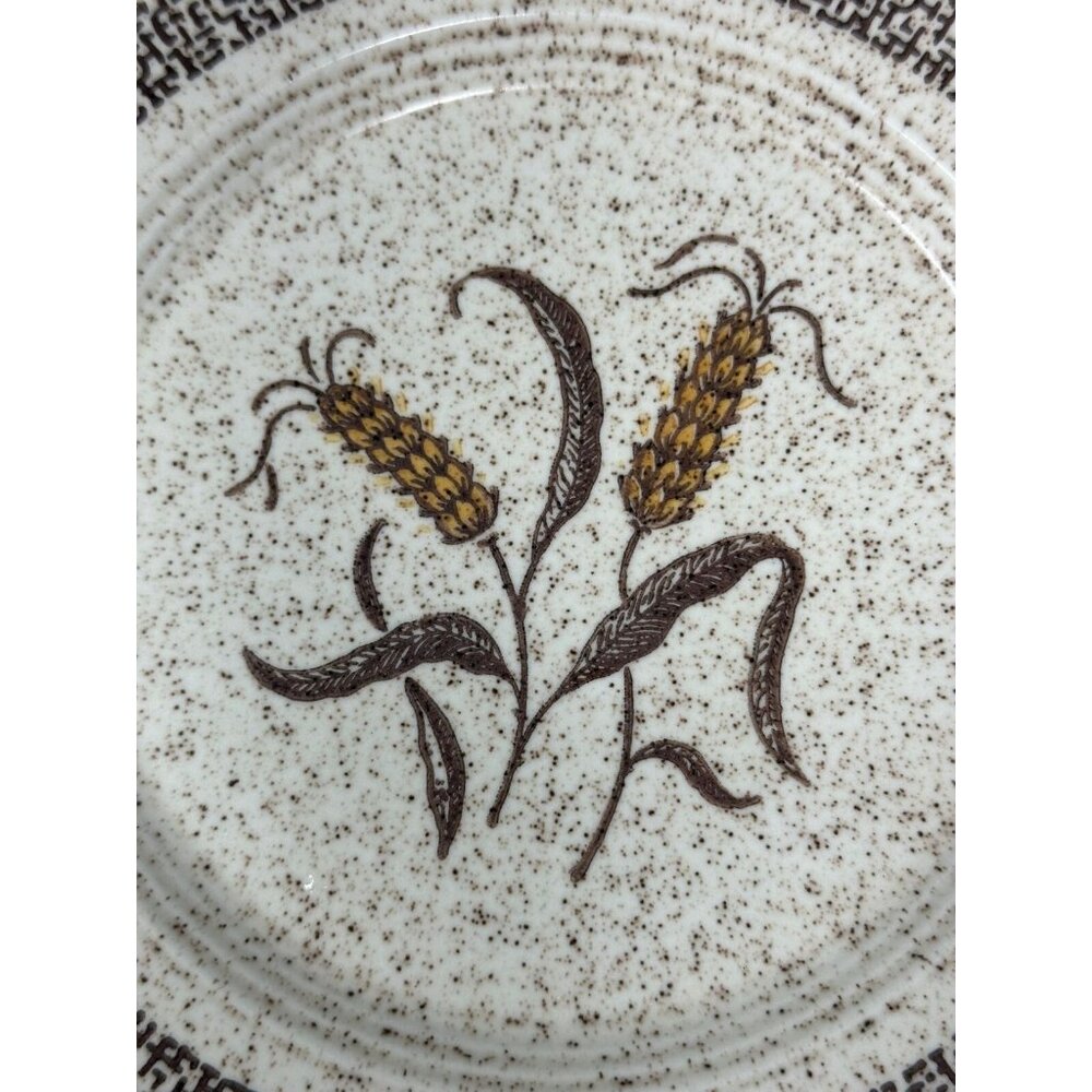 6 HOMER LAUGHLIN COUNTRY WHEAT 7" Plates Table Fair Homestead Harlequin Speckled - Picture 13 of 13